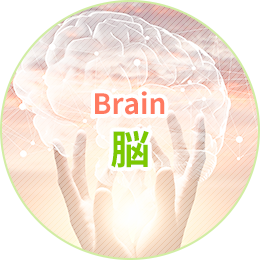 脳